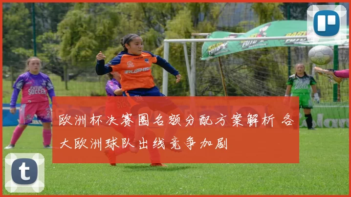 欧洲杯决赛圈名额分配方案解析 各大欧洲球队出线竞争加剧