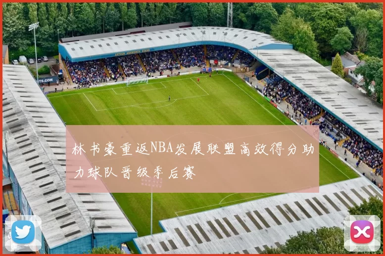 林书豪重返NBA发展联盟高效得分助力球队晋级季后赛