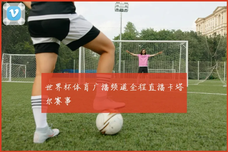世界杯体育广播频道全程直播卡塔尔赛事