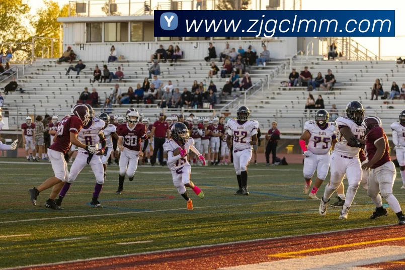 爱游戏ayx在线版品牌故事